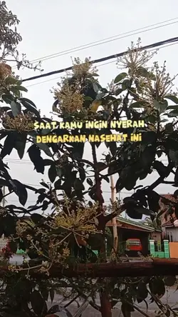 dengar nasehat ini