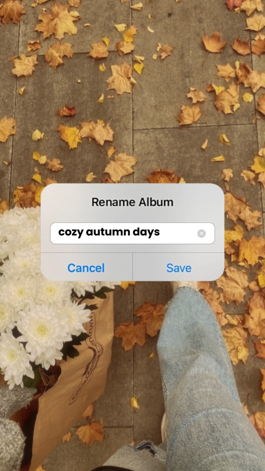 cozy autumn days
