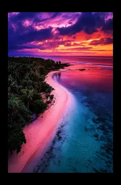 Paradise Pastels