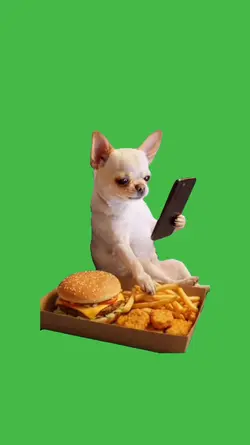 Dog chilling