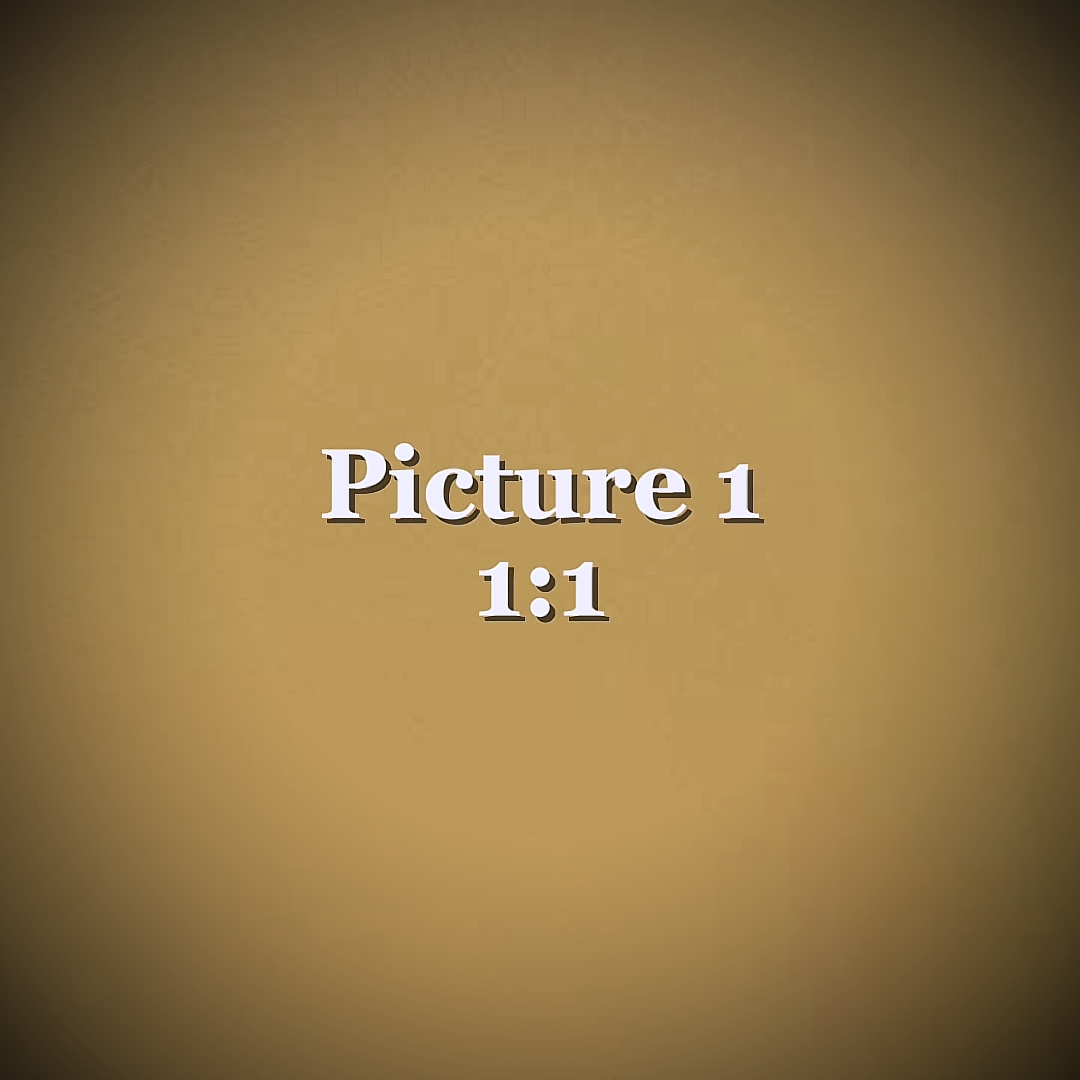 Cover Picture