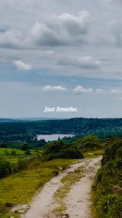 Just Breathe. 🌳
