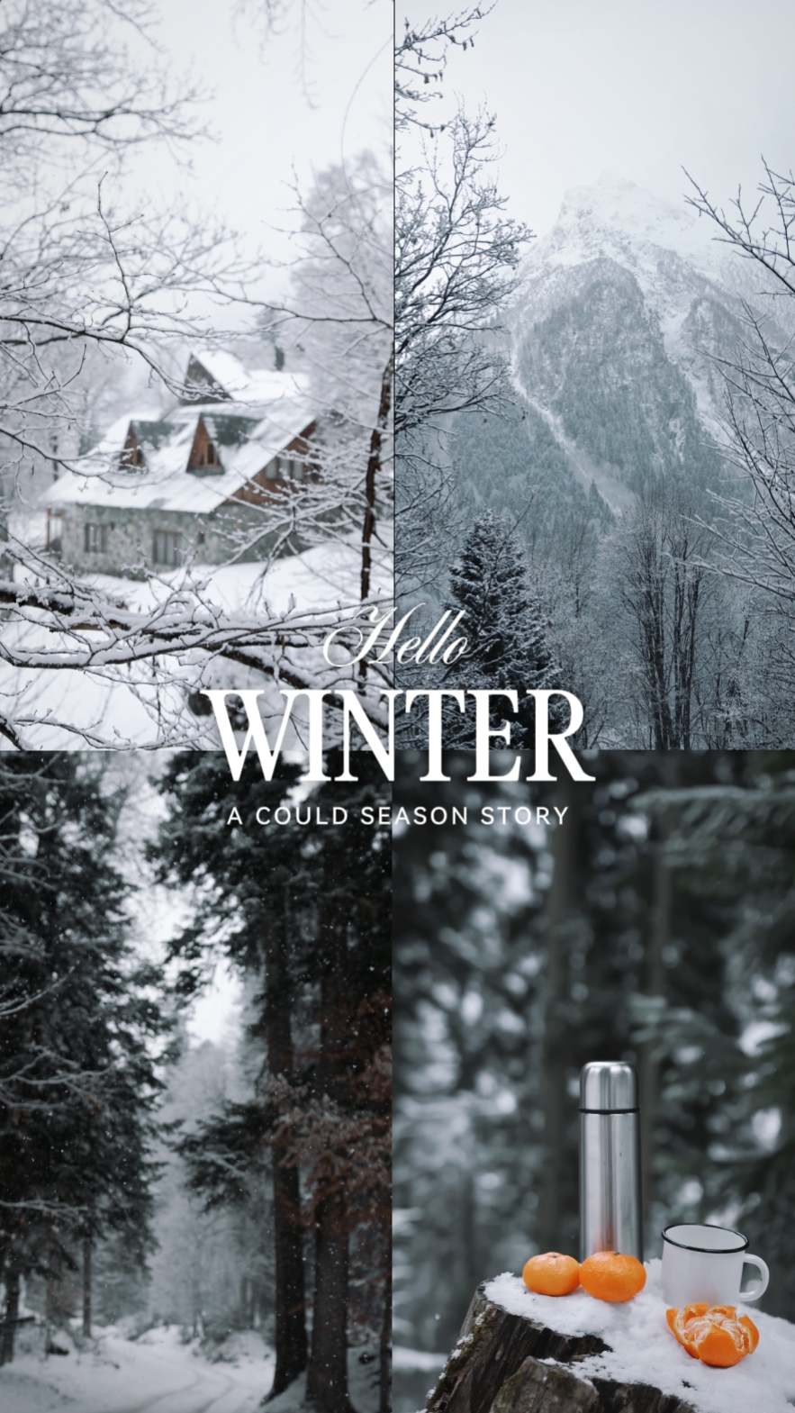 TEMPORADA DE INVIERNO 