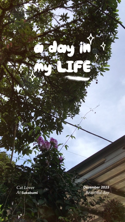 Un día en mi vida 😽🍃