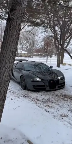 Bugatti Veyron 