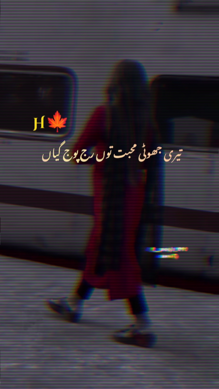 Teri joti Mohabbat 