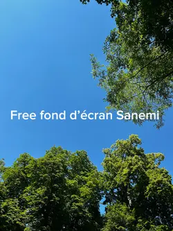 Free fond d’écran
