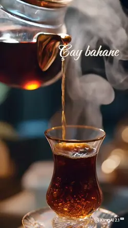 şablon