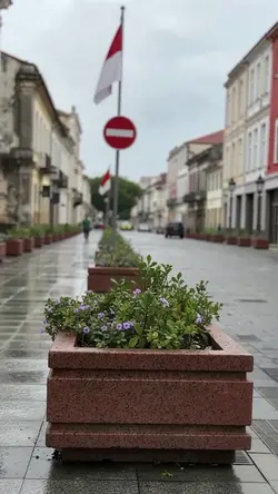 Rolê Cinematográfico