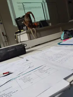 Classe calme