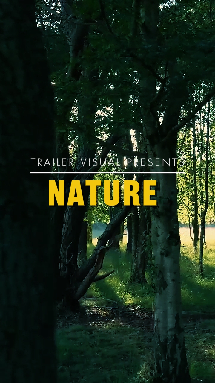 7Clips de naturaleza