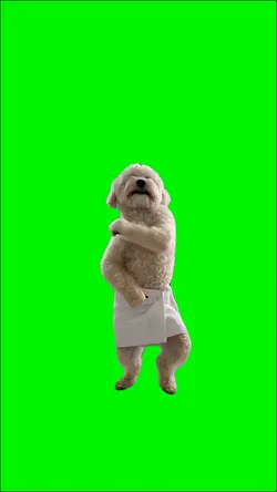 Dancing Dog