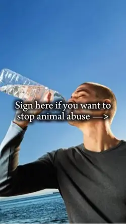 Stop Animal Abus