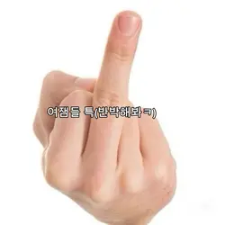 여잼들 특