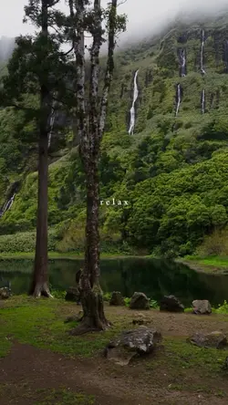 relax