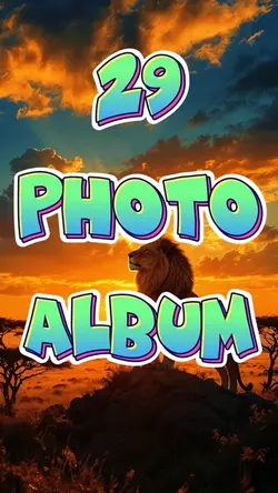 29 Photo Album 