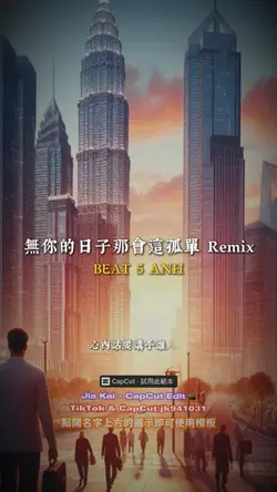無你的日子那會這孤單 Remix