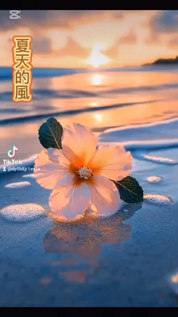 夏天的風