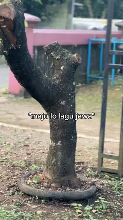 MAJU LO LAGU JAWA VI