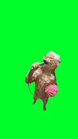 Cat singing