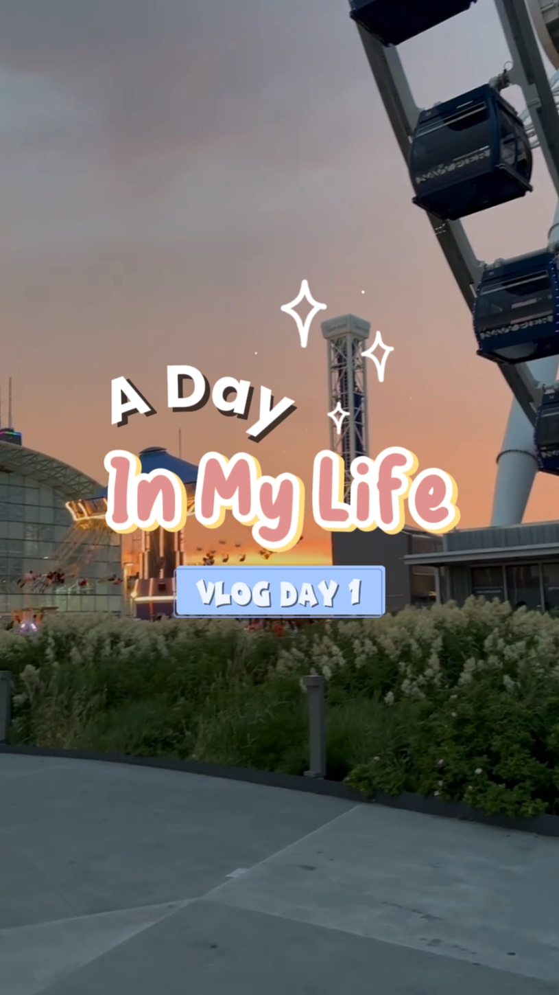 Vlog diário