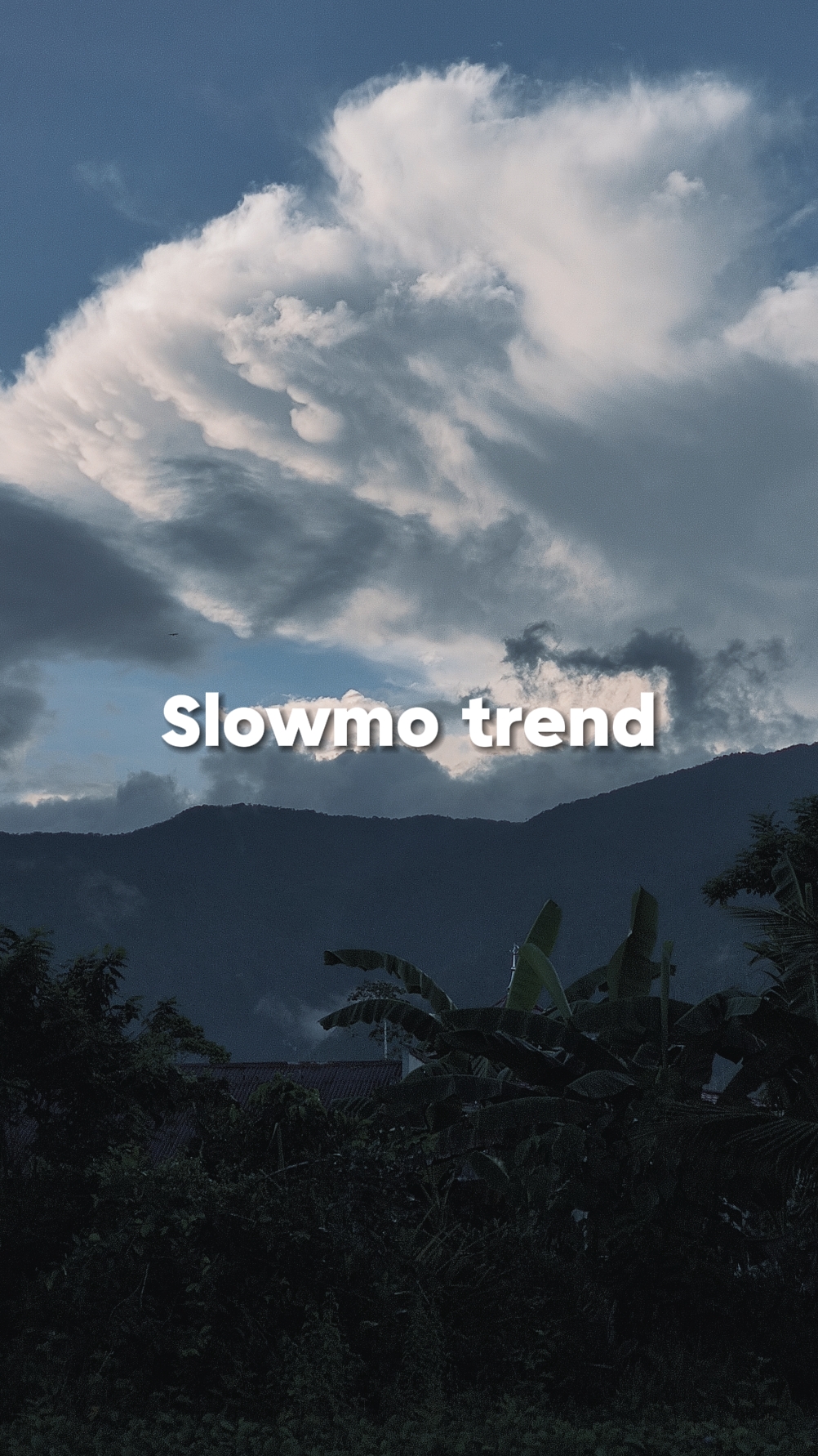 Slowmo calm