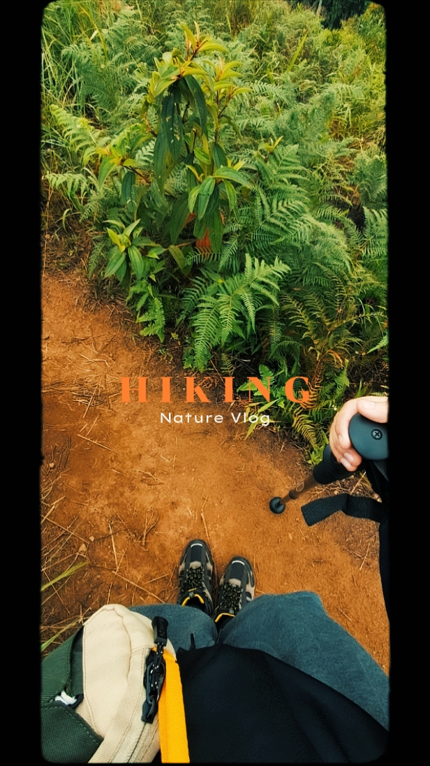 Viaje por la naturaleza