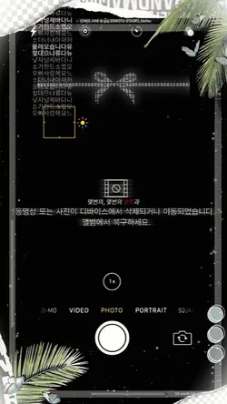 원필 🪼