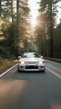 Golden-Hour Sport Drive