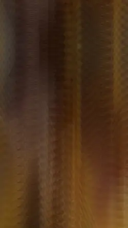 TikTok @Dolphineditz