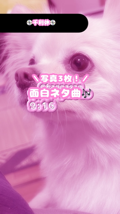 💿千利休💿