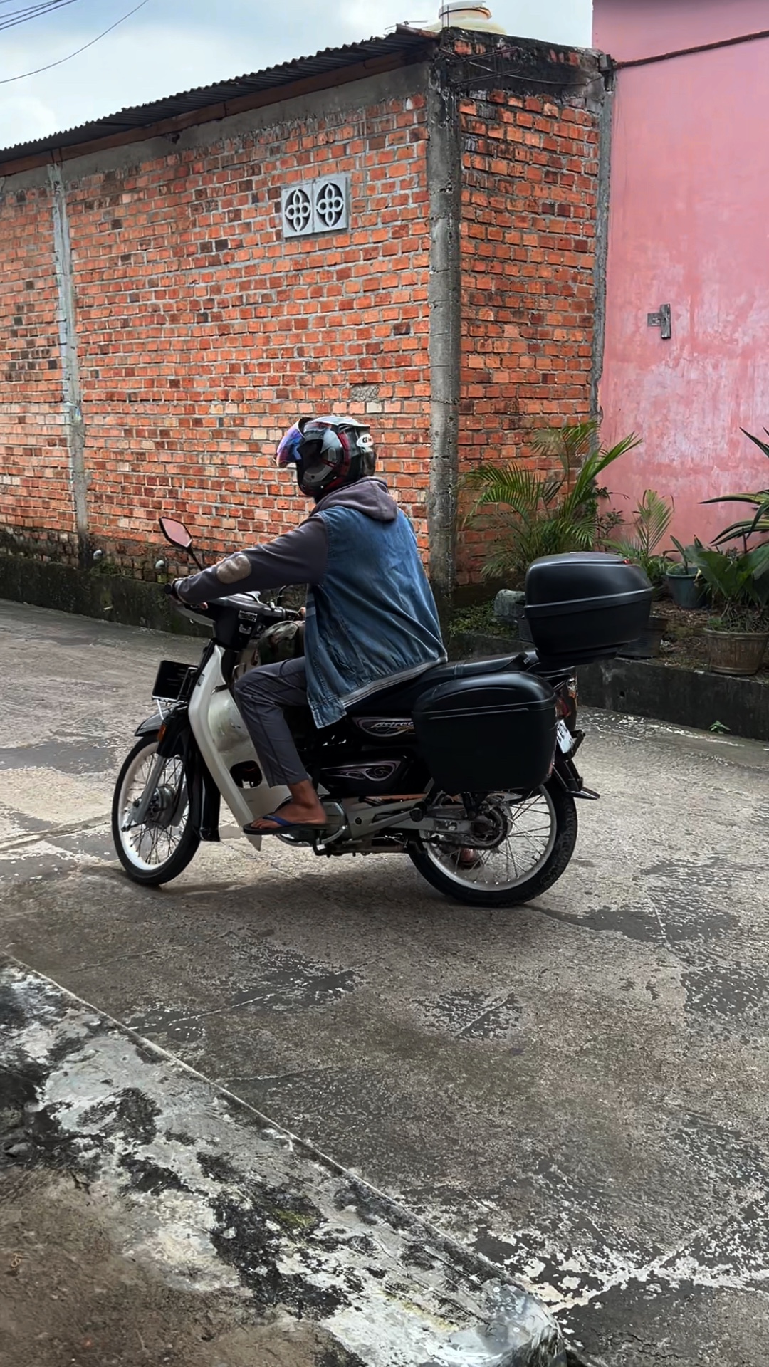 Cover Picture