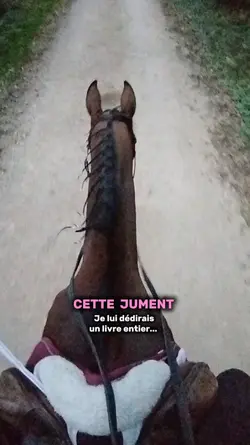 cette jument