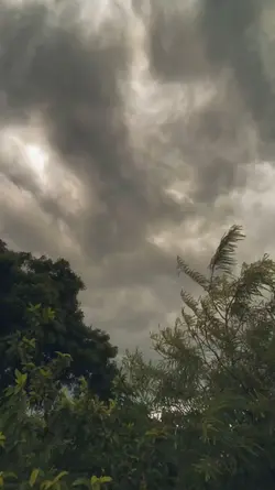 Paisagem 