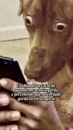 Gorda estou agora