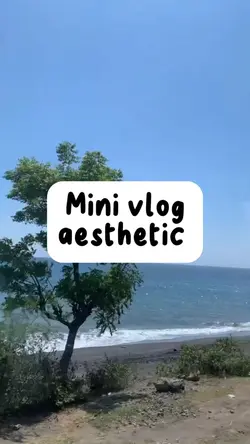 Mini Vlog