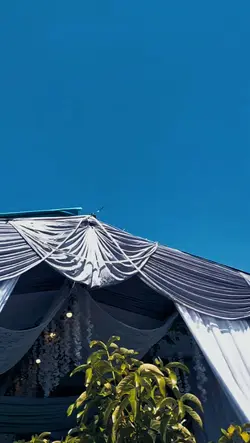 aku datang melamarmu