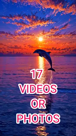 17 videos or photos