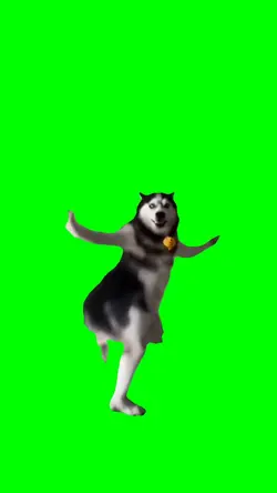 HUSKY DANCING