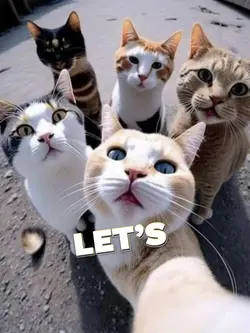 Left foot,right foot