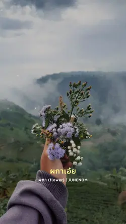 ผกา-JUNENOM