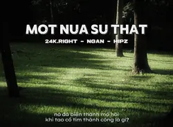 Một Nửa Sự Thật 