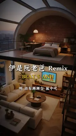 伊是阮老爸 Remix