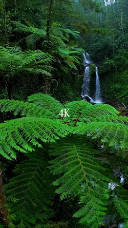 144p VS 4K
