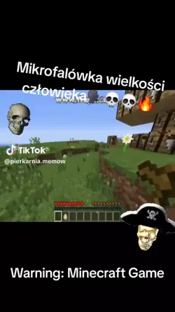 Polish minecraft