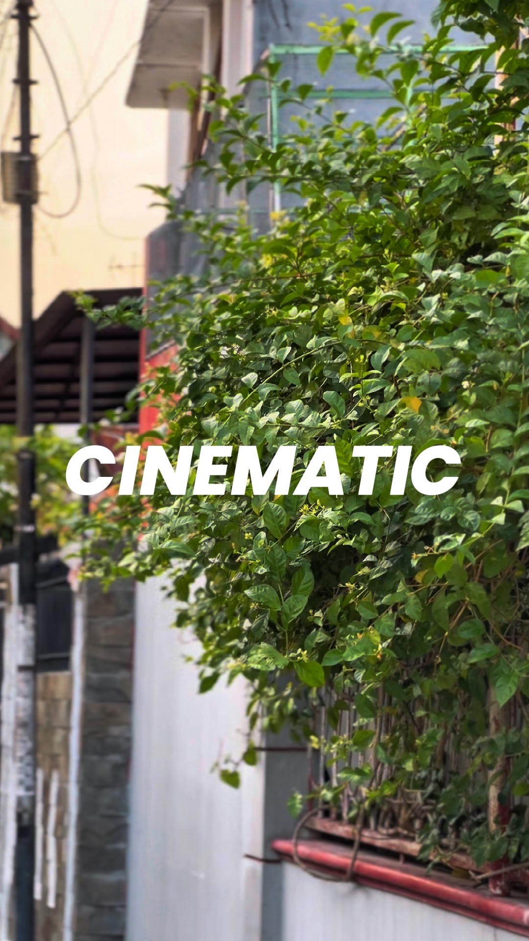 CINÉMATIQUE JJ