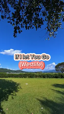 If I Let You Go