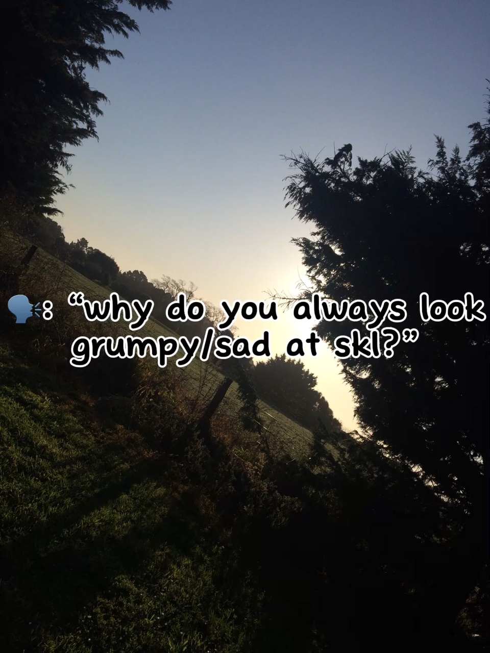 “Why do you always