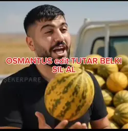 osmantus