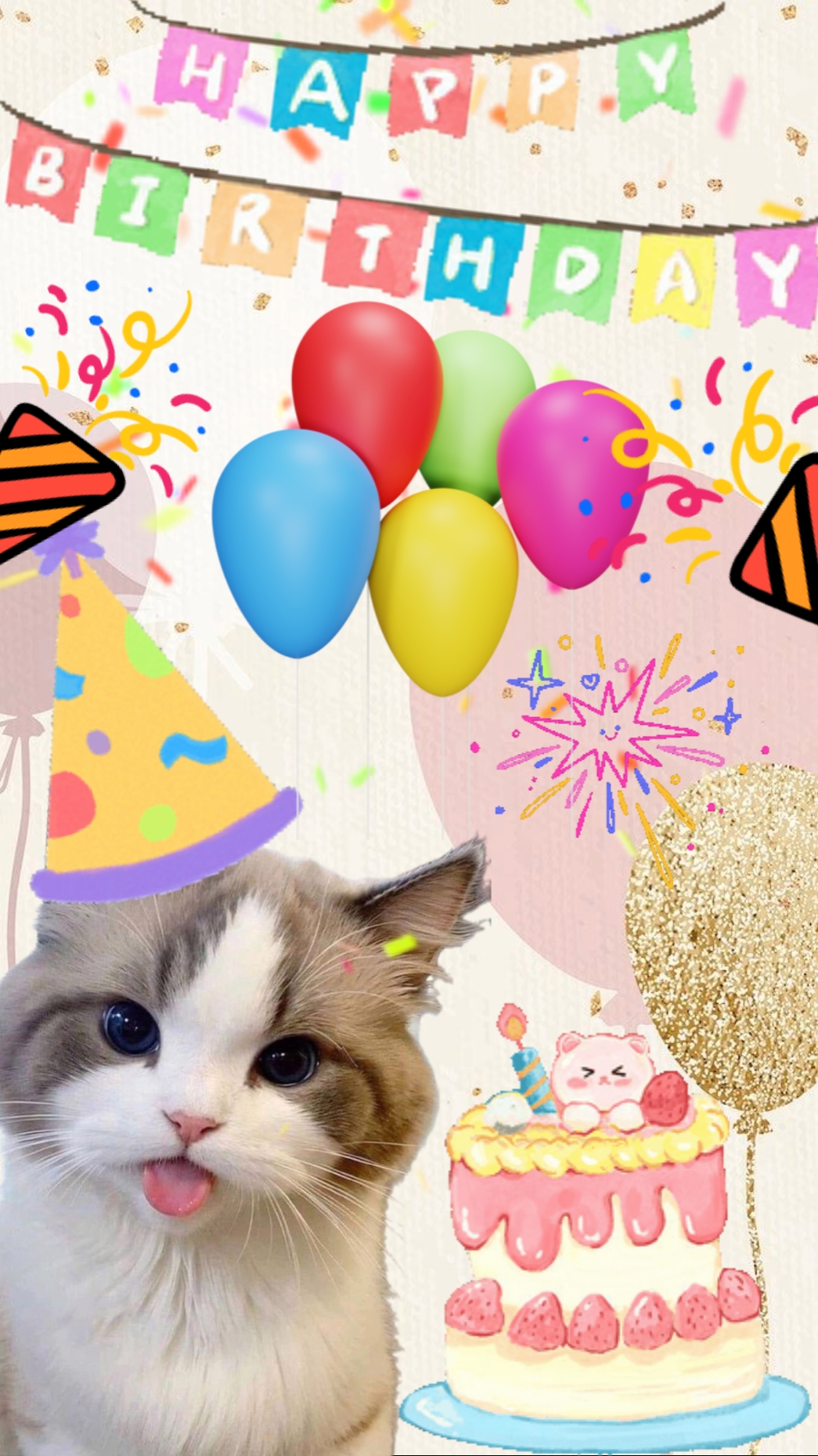 고양이 테마 생일